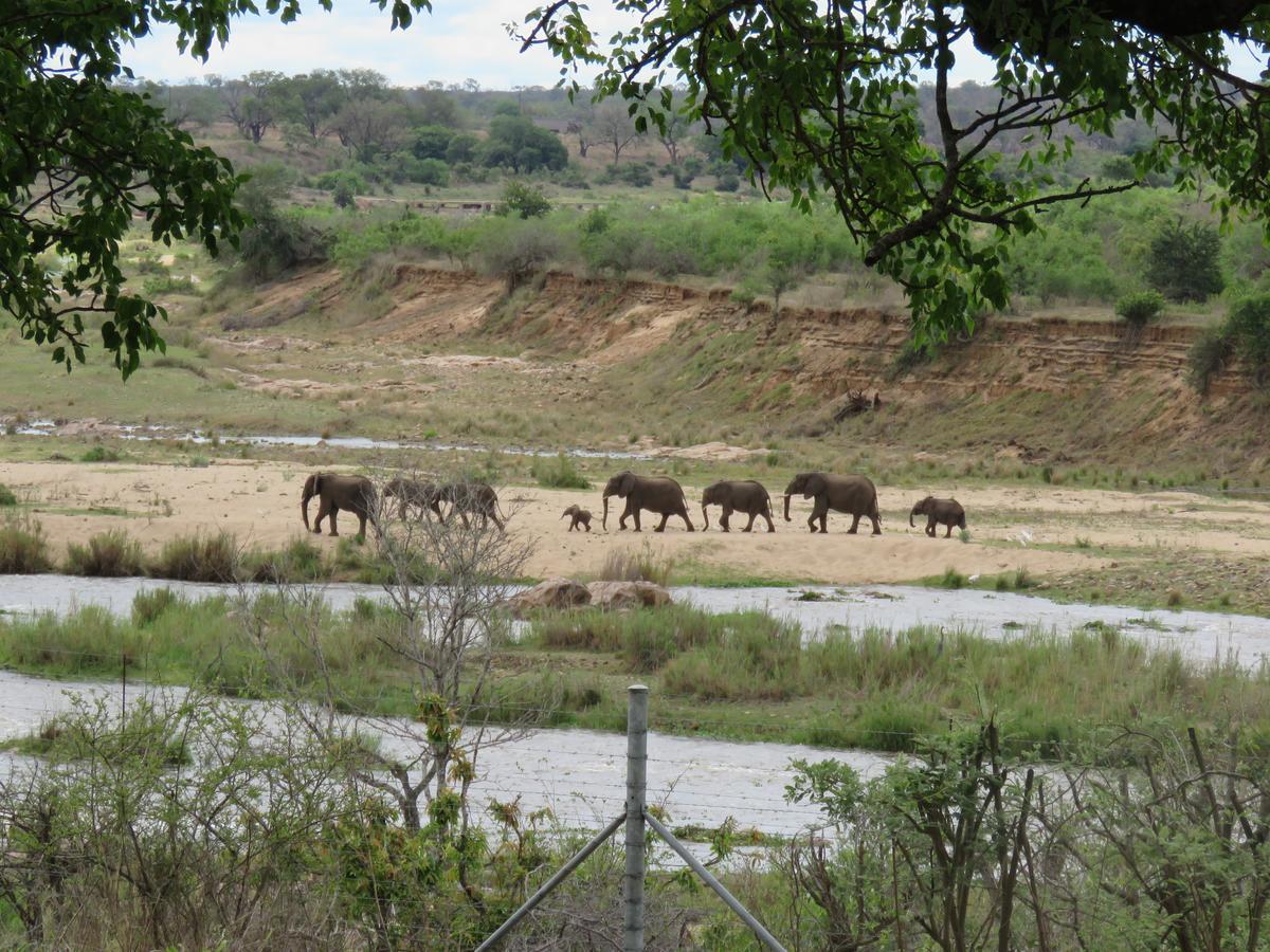 Villa Kruger View Tree House Marloth Park Exterior foto