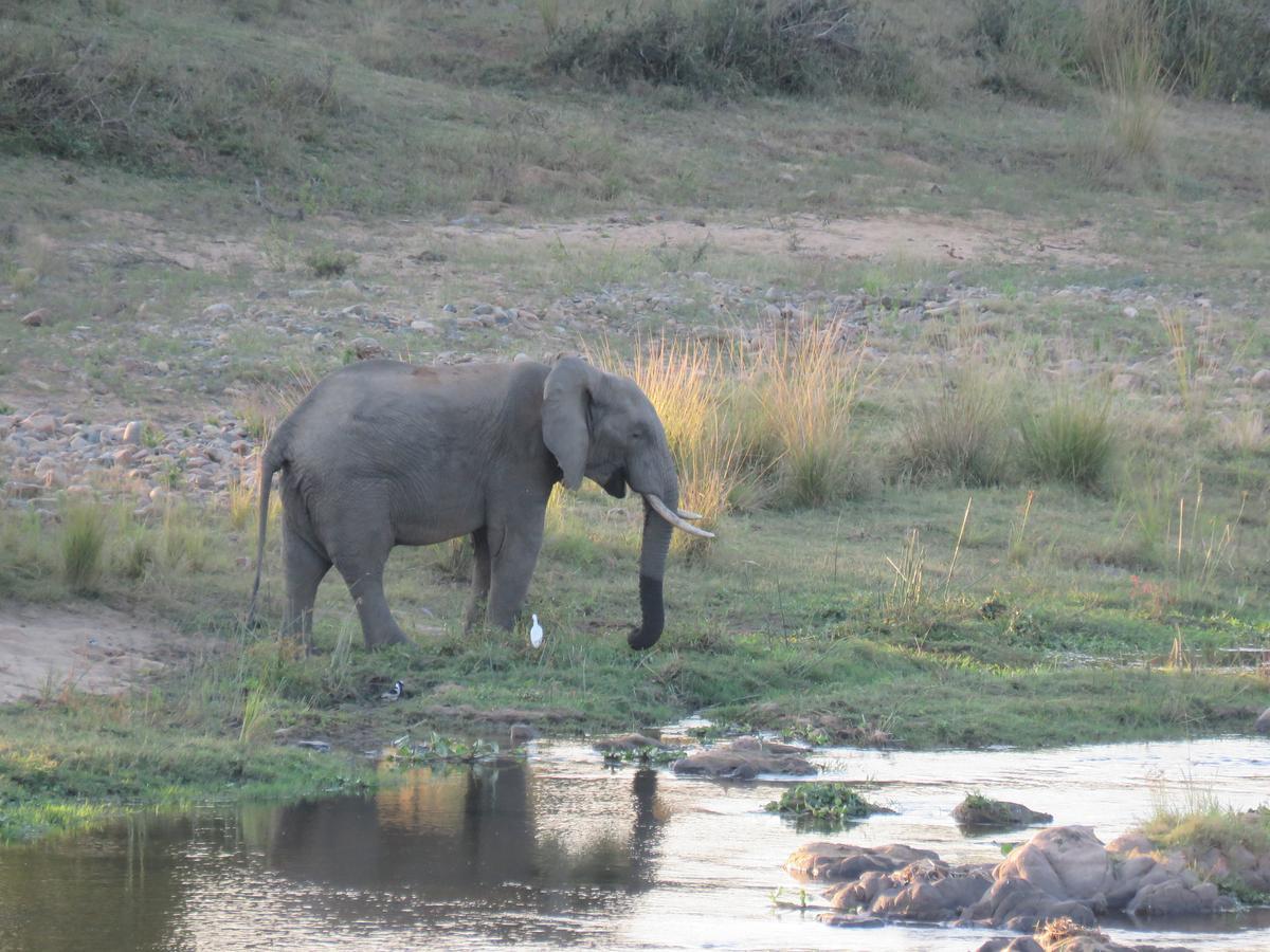 Villa Kruger View Tree House Marloth Park Exterior foto