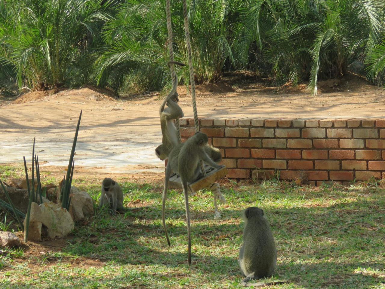Villa Kruger View Tree House Marloth Park Exterior foto